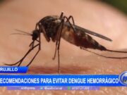 Trujillo: recomendaciones para evitar dengue hemorrágico