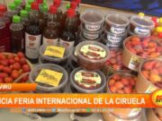 Virú: inicia feria internacional de ciruela