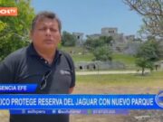 Internacional: México protege reserva del jaguar con nuevo parque