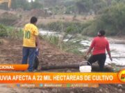 Perú: lluvia afectó a 22 mil hectáreas de cultivo