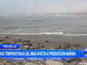 Trujillo: altas temperaturas del mar afecta a producción marina