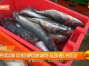 Trujillo enfrenta el alto precio del pollo con pescado asequible