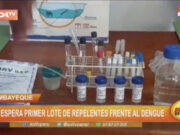 Lambayeque: Se espera repelentes y acciones para enfrentar aumento de casos de dengue