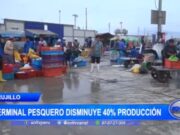 Terminal Pesquero sufre una disminución del 40% en la producción