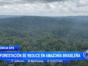 Internacional: Deforestación en la Amazonía Brasileña Disminuye un 70%
