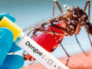 Advierten sobre posible epidemia de dengue tras incremento de casos en el país