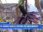 Festival del Maíz Morado: Promoviendo Cultivo y Consumo en Cajamarca