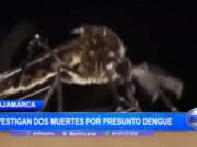 Investigación en Cajamarca: Dos fallecimientos por posible contagio de Dengue