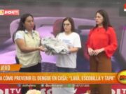 ¿Cómo Prevenir el Dengue en Casa?: Acciones Clave para el Control del Vector
