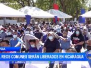 Liberación de Mil Reos en Nicaragua Aumenta Temor por Inseguridad