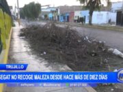 Parque Antonio Ramis Abandonado por Segat: Maleza Obstruye Vías Durante Días