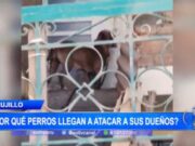 Alerta: Perros atacan a sus dueños, ¿por qué ocurre esto?