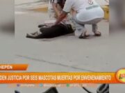 Exigen Justicia en Chepén tras Envenenamiento Mortal de Seis Canes