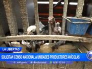 Presidente de Cámara de Comercio Pide Censo Nacional de Unidades Avícolas para Combatir Informalidad