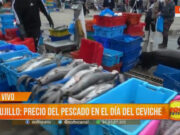 Trujillo: precio del pescado en el Día del Ceviche