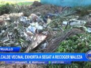 Abandono y Problemas de Inseguridad Azotan al Parque Grande de la Urbanización El Bosque