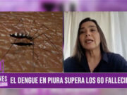 Excongresista denuncia negligencia en manejo de dengue y pide renuncia de ministra de salud en Piura