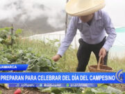 Cajamarca se prepara para celebrar el Día del Campesino con diversas actividades