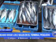 ¡Precios asequibles en el Terminal Pesquero de Buenos Aires gracias al descenso de oleajes!