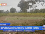 Expansión de Cultivos de Coca Amenaza Zonas Protegidas y Comunidades Indígenas en Perú