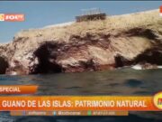 El guano de las Islas: un tesoro natural y patrimonio cultural en Perú