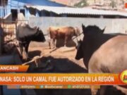 Senasa autoriza solo un camal en Áncash, los demás son ilegales