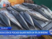 Producción de Pescado en Trujillo Descenderá hasta 70% en Invierno