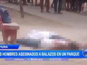 Doble Asesinato a Plena Luz en Parque Principal de Castilla