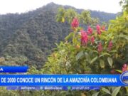 Amenaza minera a la Reserva del Chocó Andino, el paraíso escondido cerca de Quito