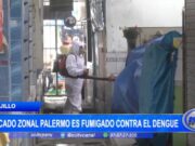 Ex Mayorista, Mercado Zonal Palermo, Fumigado en Lucha Contra el Dengue