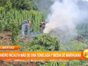 Gran Operativo en La Libertad: Más de 1.5 Toneladas de Marihuana Incautadas por la Dirandro