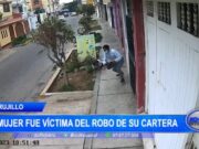 ¡Mujer sufre el robo de su cartera a plena luz del día en Trujillo!