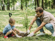 ¡Celebremos el Día Mundial del Medio Ambiente y construyamos un futuro sostenible!