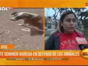 Trujillo: este domingo marcha en defensa de los animales