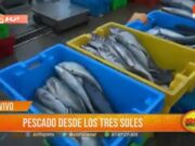 Venden pescado desde S/ 3.00 en el Terminal Pesquero Buenos Aires