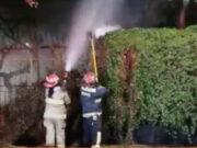 Incendio en Jardín Botánico de Trujillo: bomberos controlan siniestro