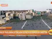 Ascope: tráiler que trasladaba 28 toneladas de palta se despista en carretera