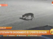 La Libertad: protestarán por envenenamiento de 12 perritos en Rázuri