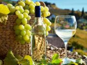 ¿Taste Atlas se retracta? Pisco ya no figura en la lista de las peores bebidas del mundo