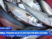 Movilizaciones nacionales no afectan actividad en terminal pesquero de Buenos Aires