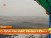 Tumbes: inicia festival de avistamiento de ballenas jorobadas
