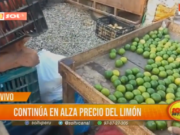 Alza imparable del precio del limón y cebolla sacude a Chiclayo