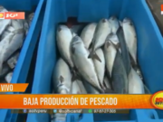 Producción de Pescado en Trujillo Disminuye
