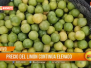 Precio del limón en Trujillo alcanza un sol por unidad