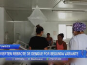 Tumbes: advierten rebrote de dengue por segunda variante
