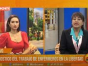 diagnóstico del trabajo de enfermeros en La Libertad
