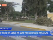 Trujillo: alcaldesa pide poda de árboles ante delincuencia desatada
