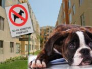 Tribunal Constitucional: condominios pueden prohibir tenencia de mascotas