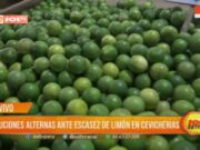 Escasez de limón en Trujillo impacta cevicherías: ¿Cómo se adaptan?