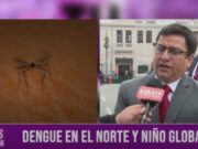 Dengue en el norte y Niño Global